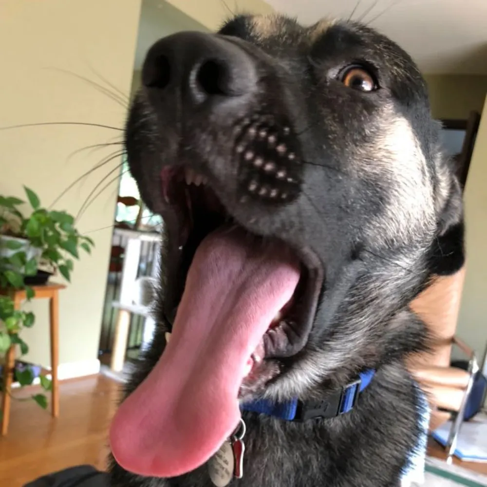 charlesgaba.com's profile picture