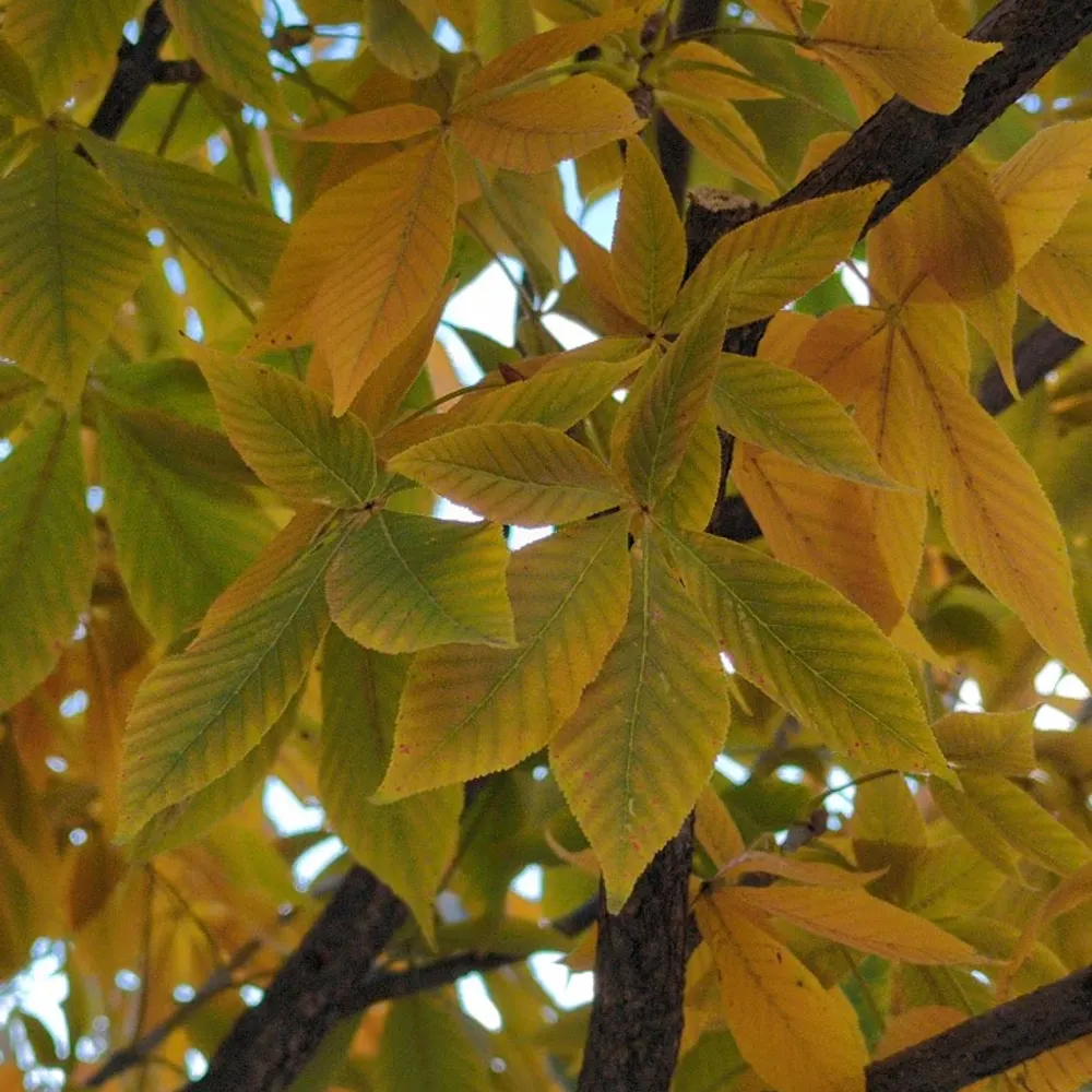 neuseriverhag.bsky.social's profile picture