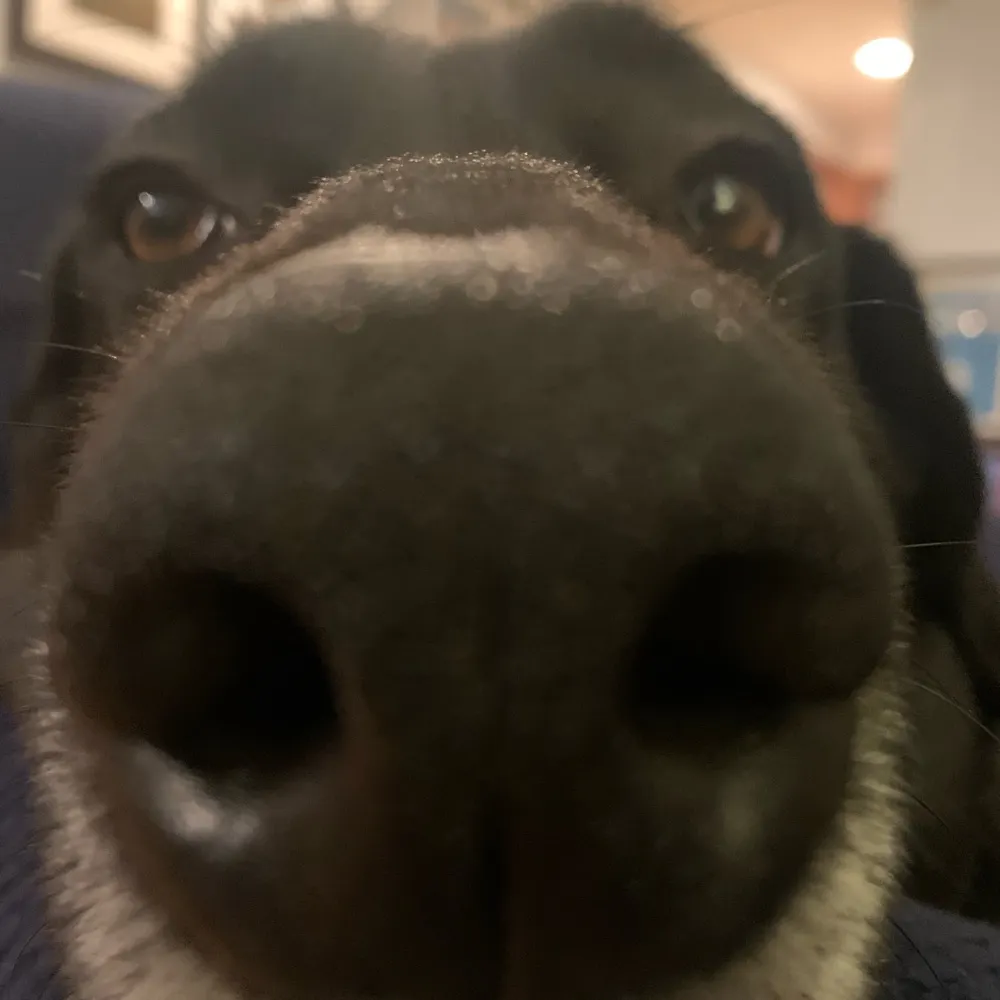 dangfine.bsky.social's profile picture