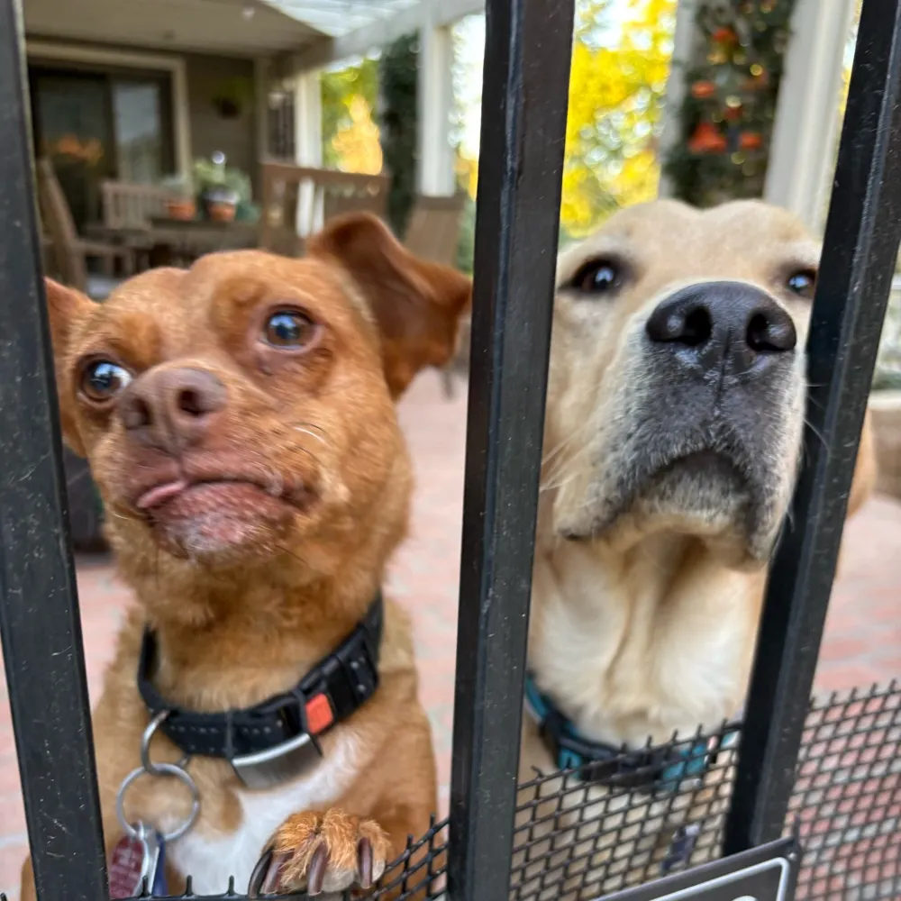 schooley.bsky.social's profile picture