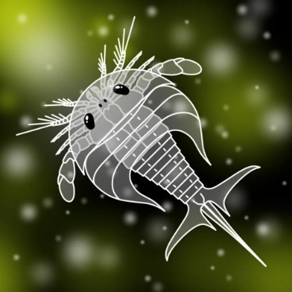 jun075.bsky.social's profile picture