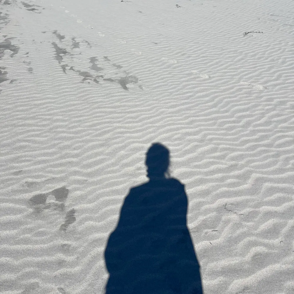 clemdelz.bsky.social's profile picture