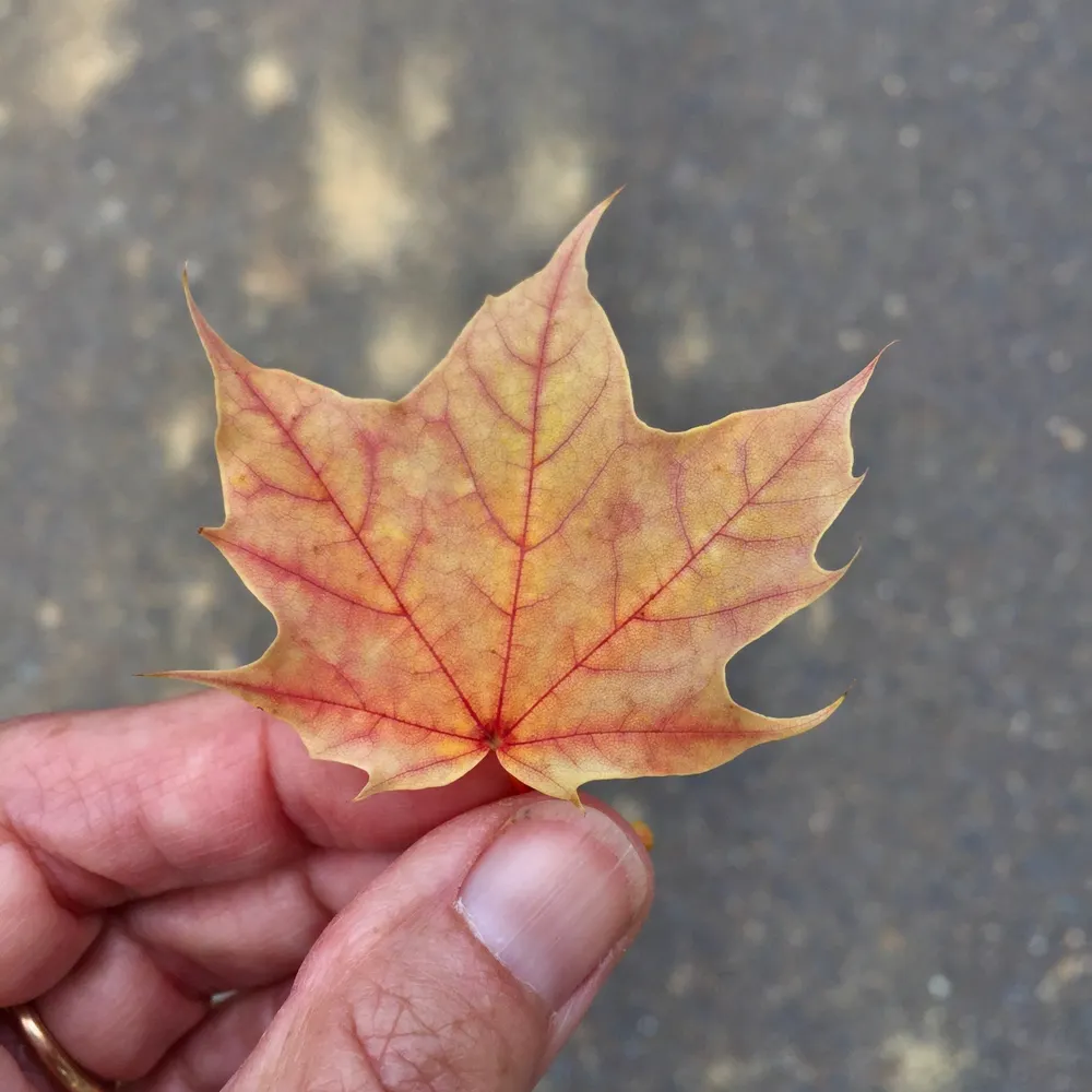 positivityrules.bsky.social's profile picture