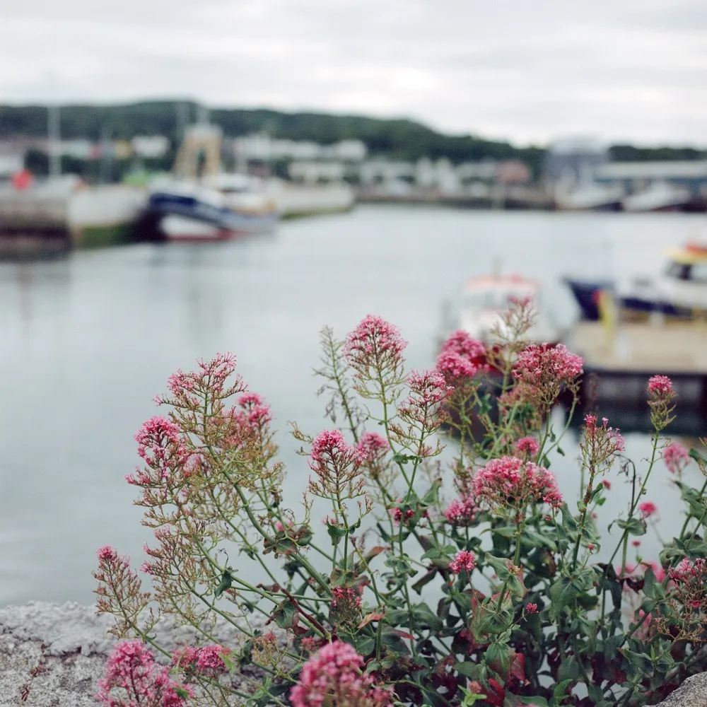 b2212.bsky.social's profile picture