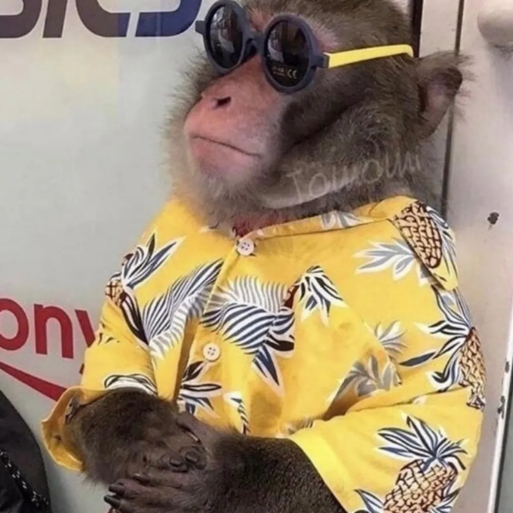 lki.bsky.social's profile picture