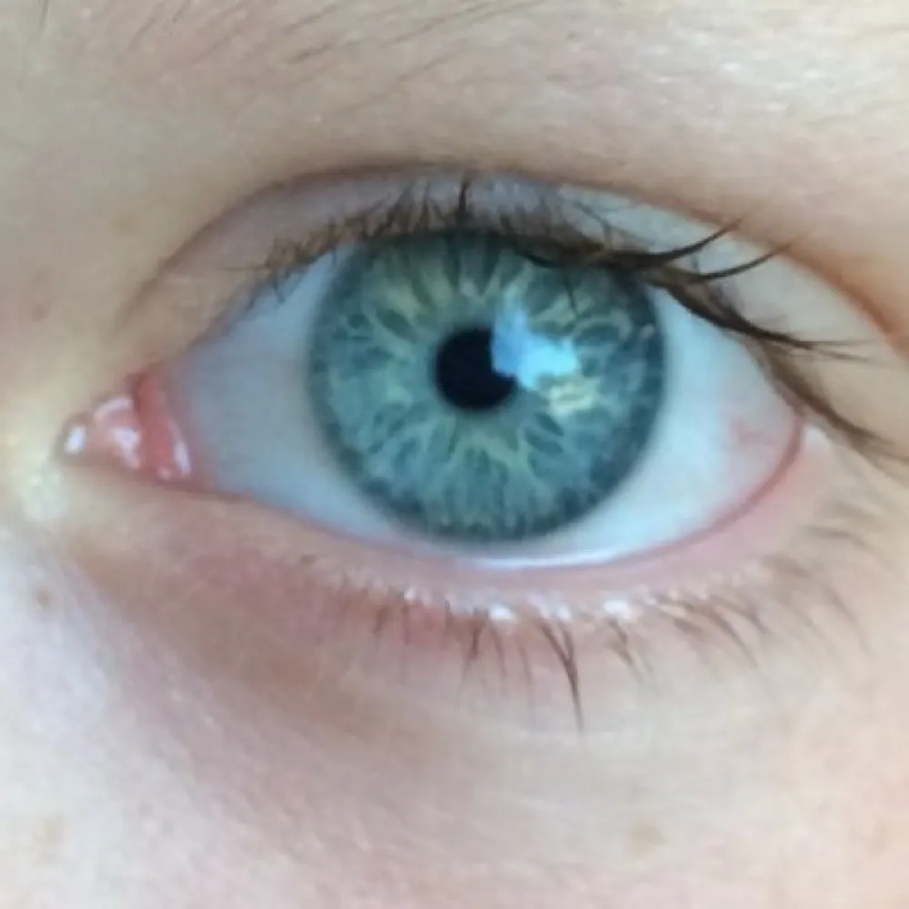 sthflachk.bsky.social's profile picture