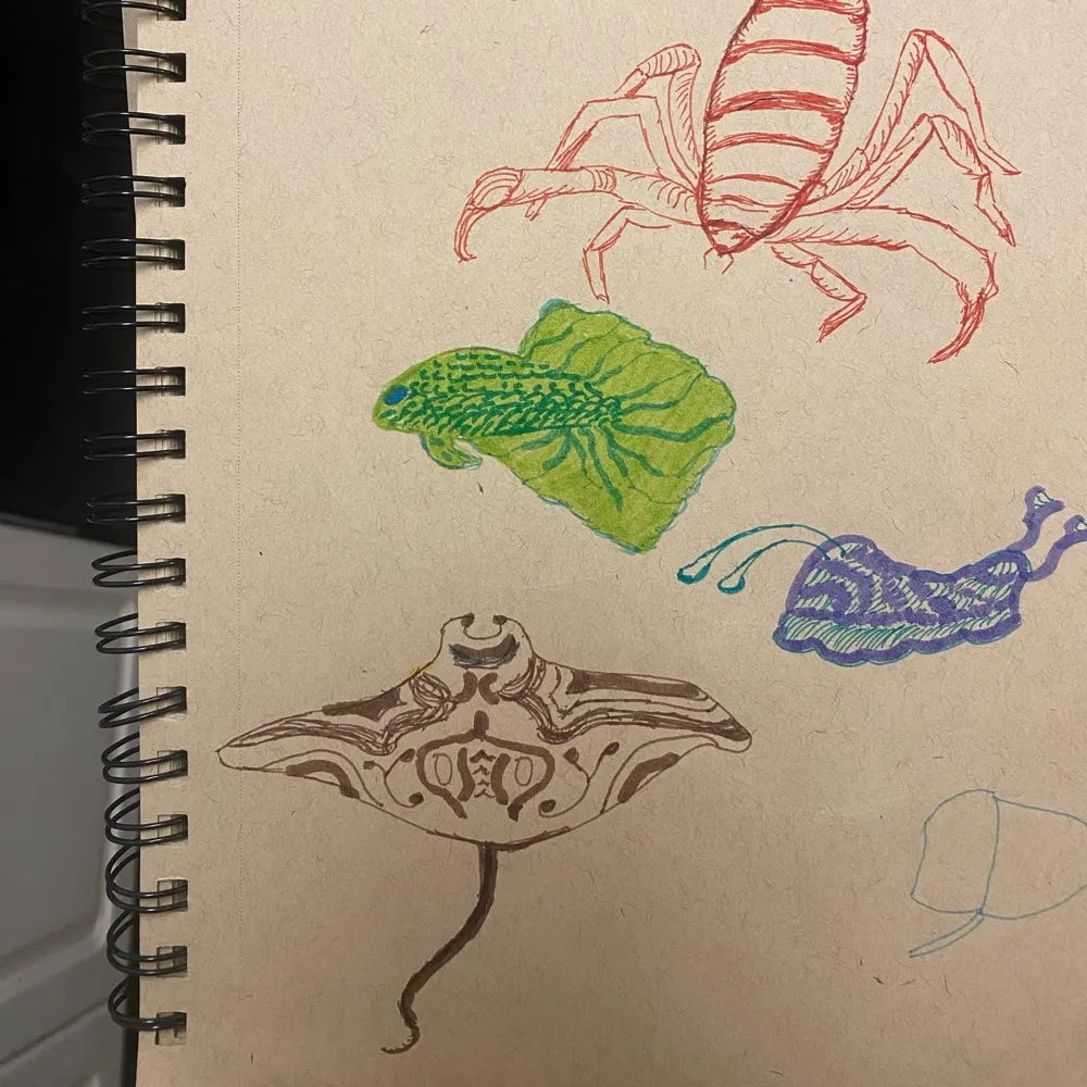 shrimpalfredo.bsky.social's profile picture