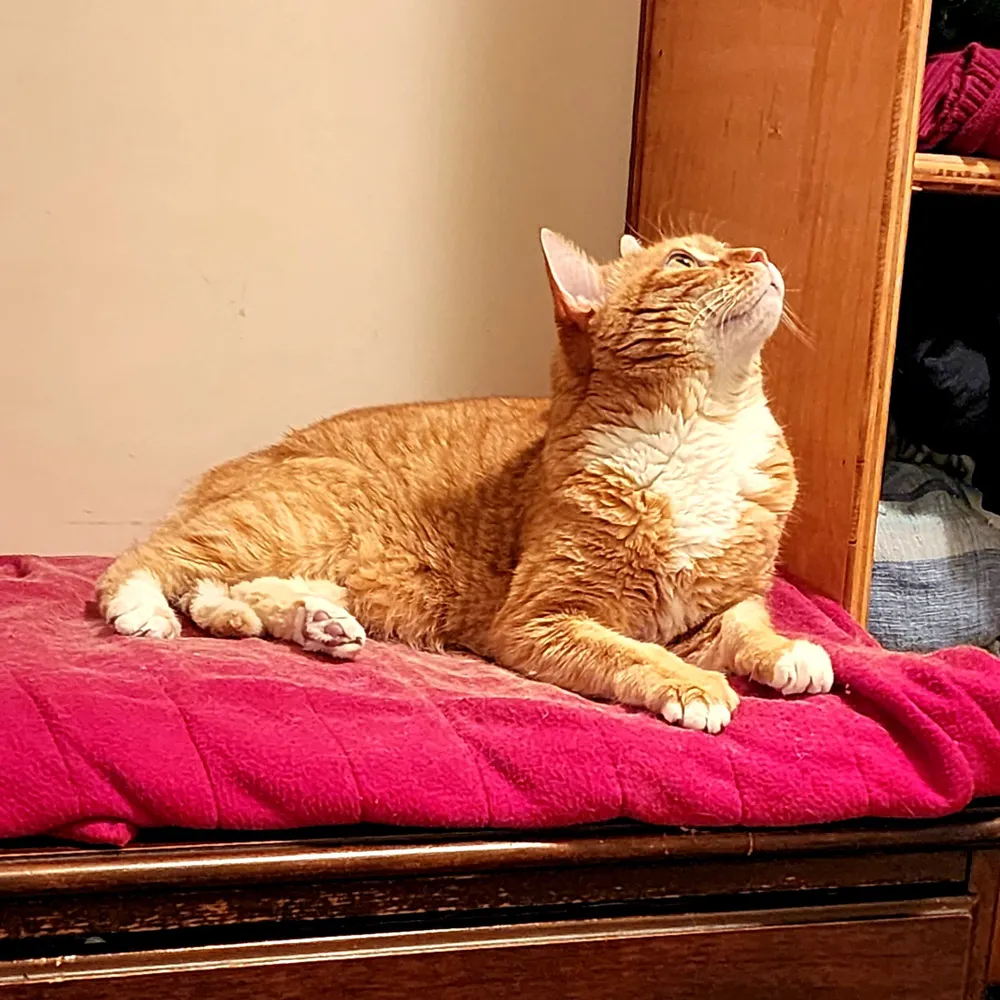 heightseye.bsky.social's profile picture