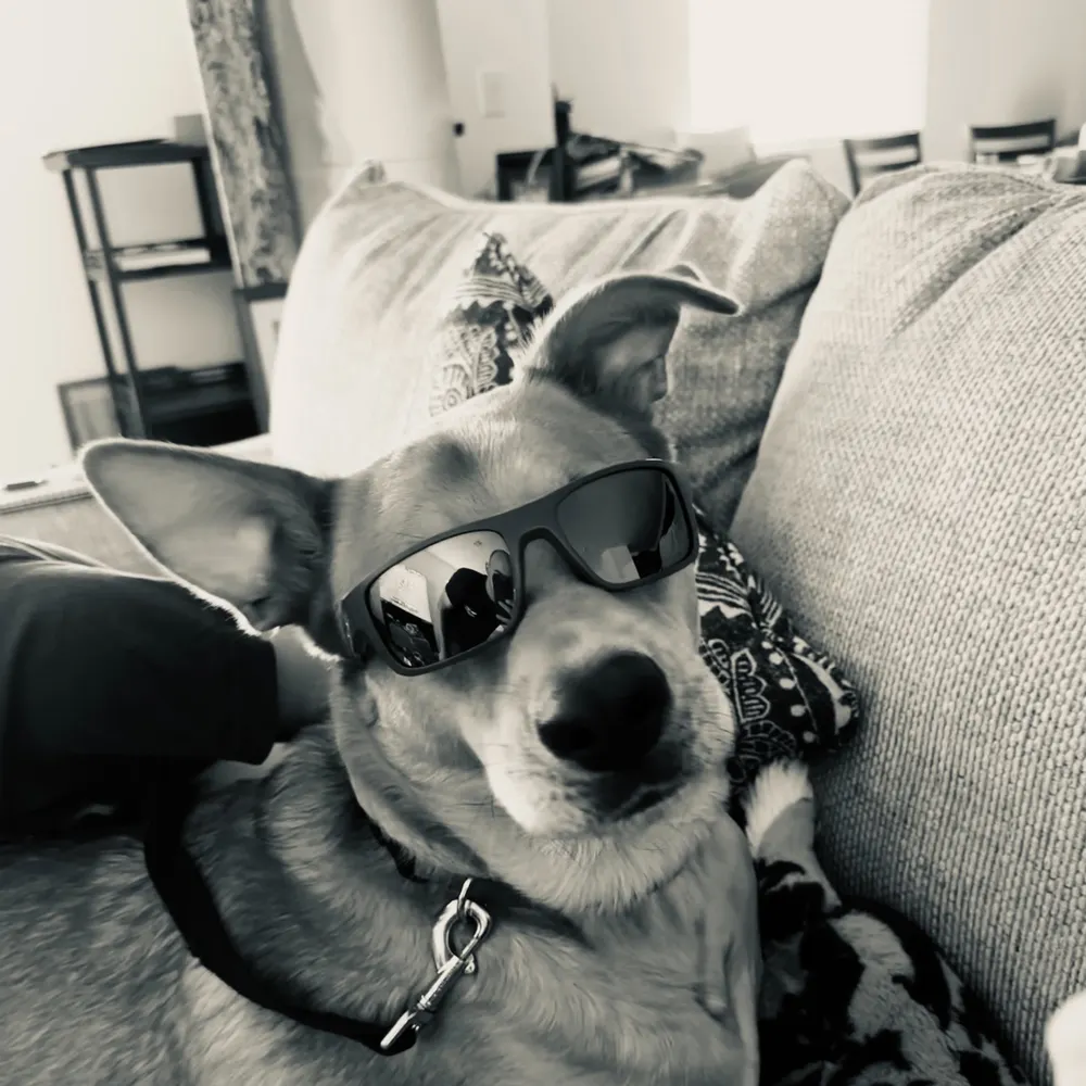 medicineclam.bsky.social's profile picture