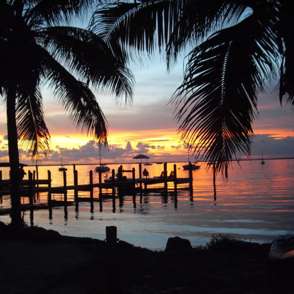 tampaboy.bsky.social's profile picture