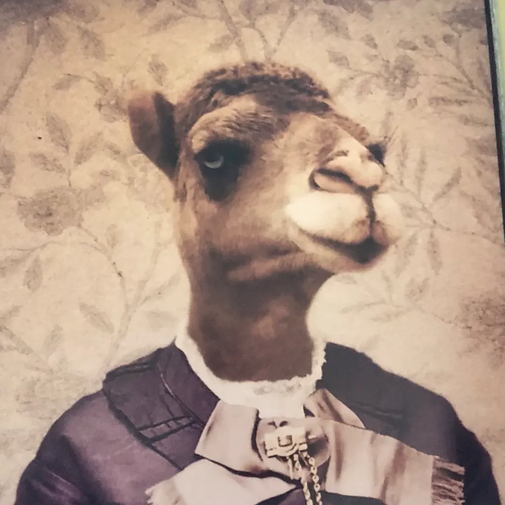 witwarrior.bsky.social's profile picture