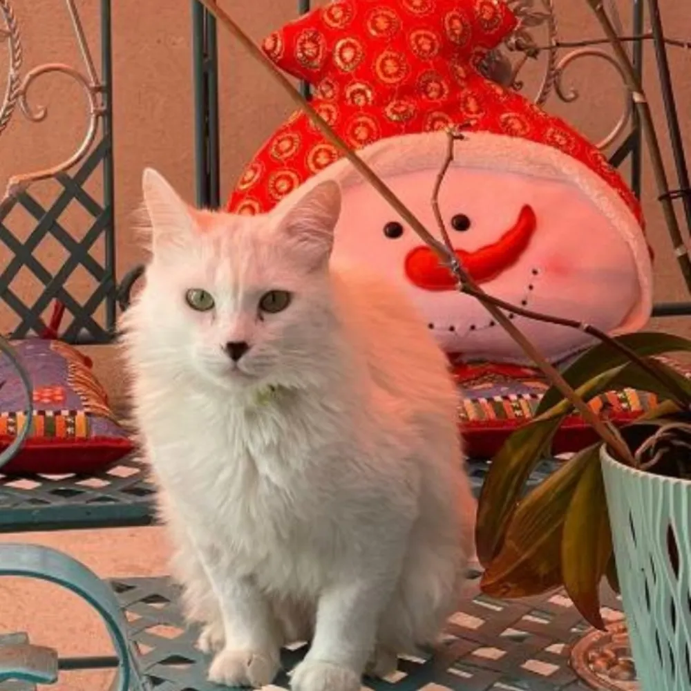 gcusack.bsky.social's profile picture