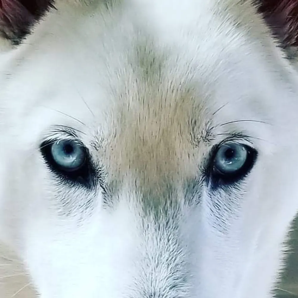 monzamayhem.bsky.social's profile picture