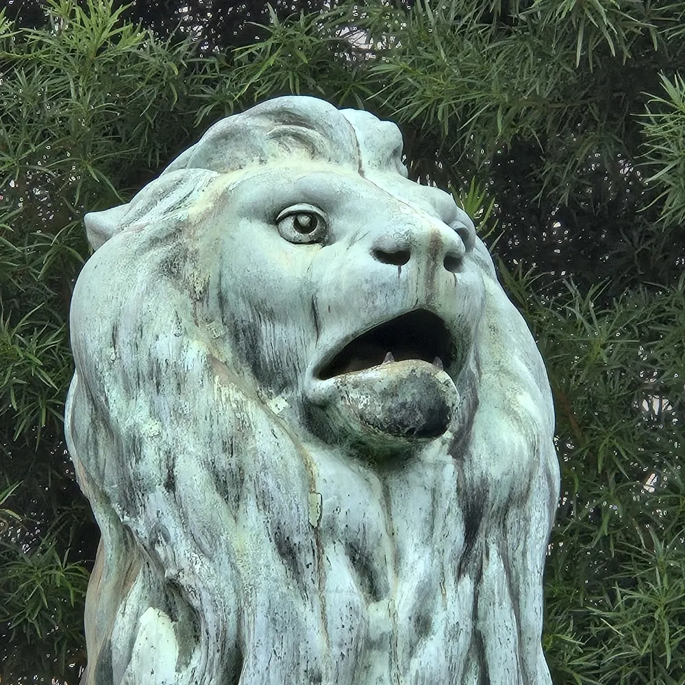 billfisto.bsky.social's profile picture