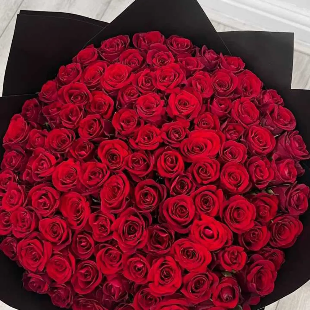 michalondra777.bsky.social's profile picture