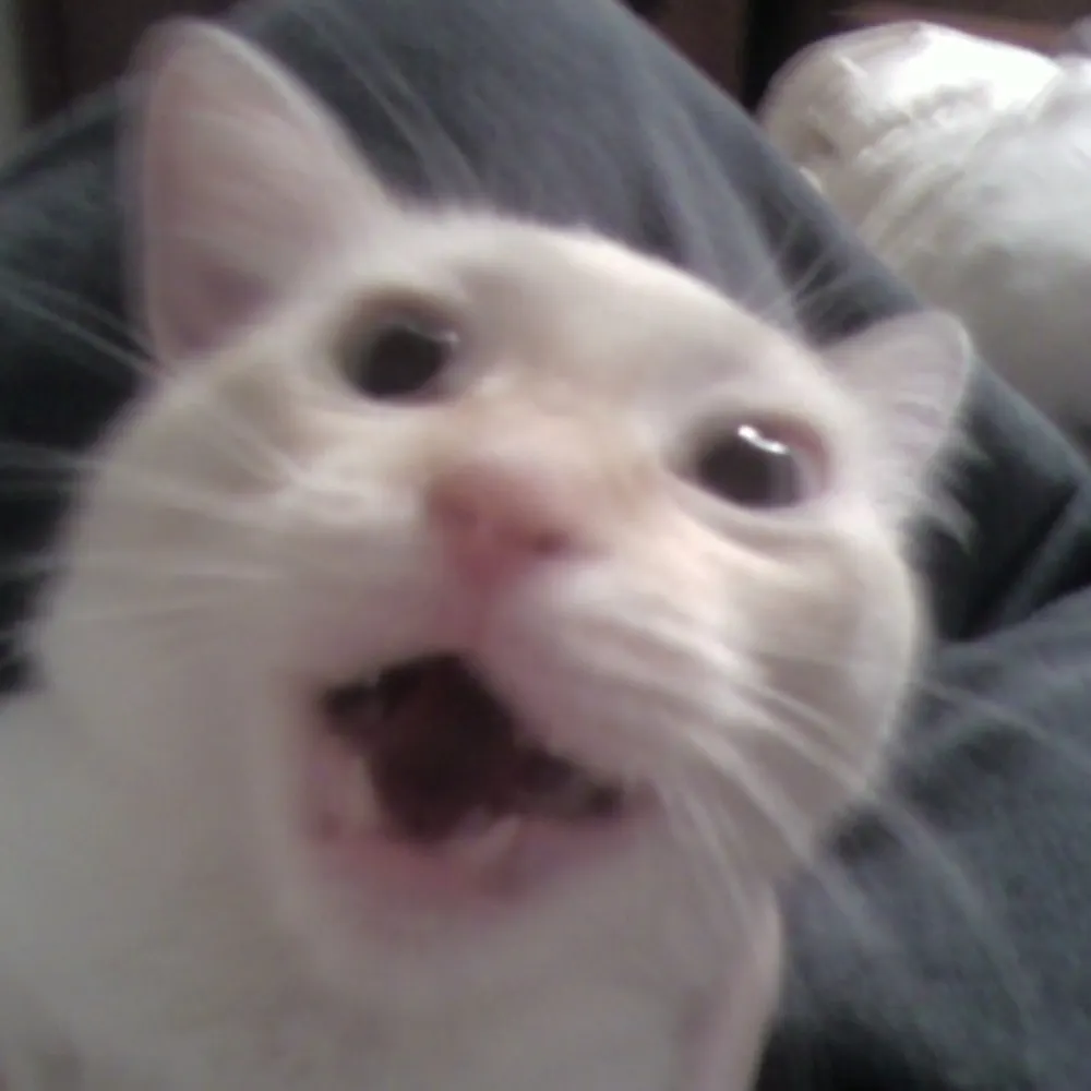 puckett101.bsky.social's profile picture