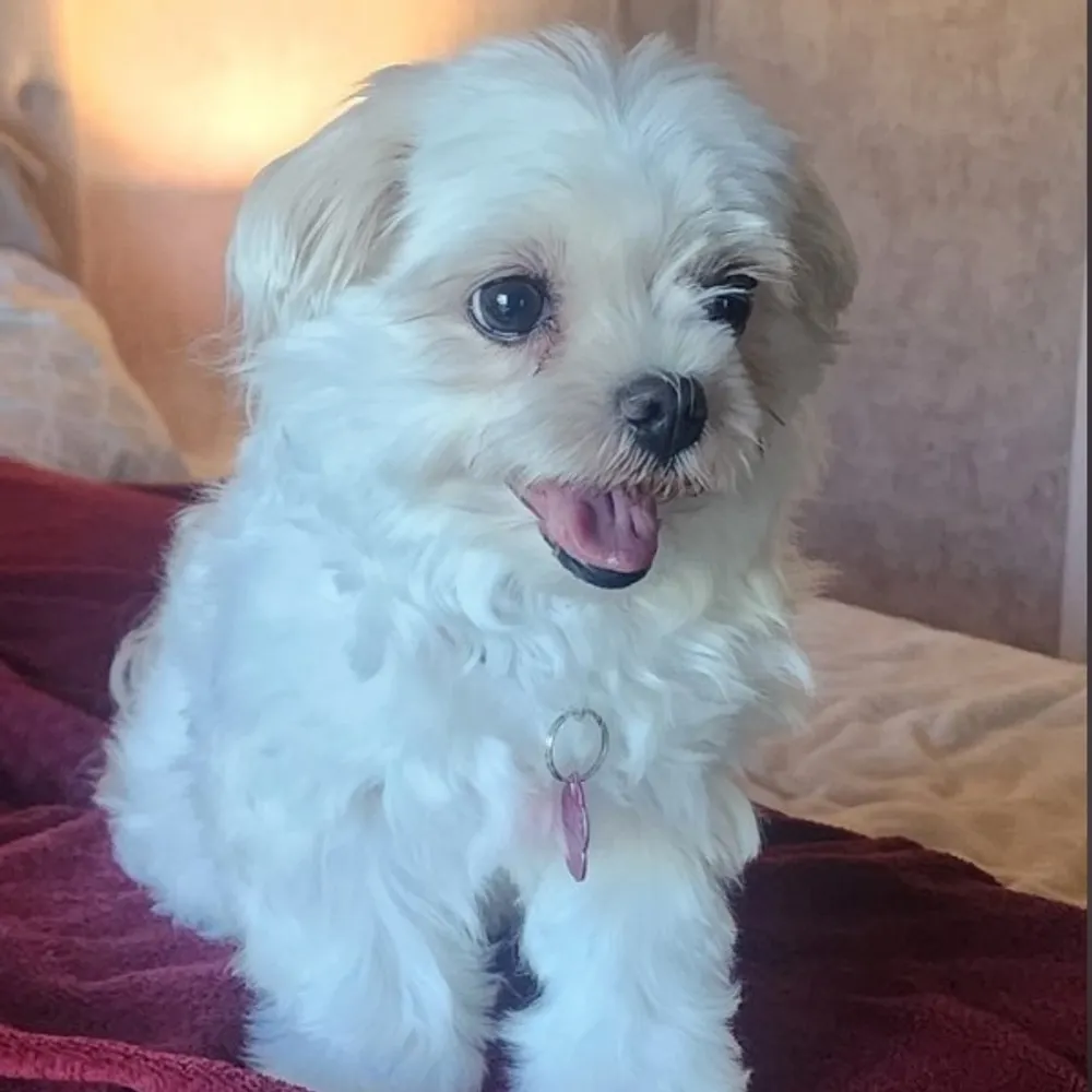 nanascabana.bsky.social's profile picture