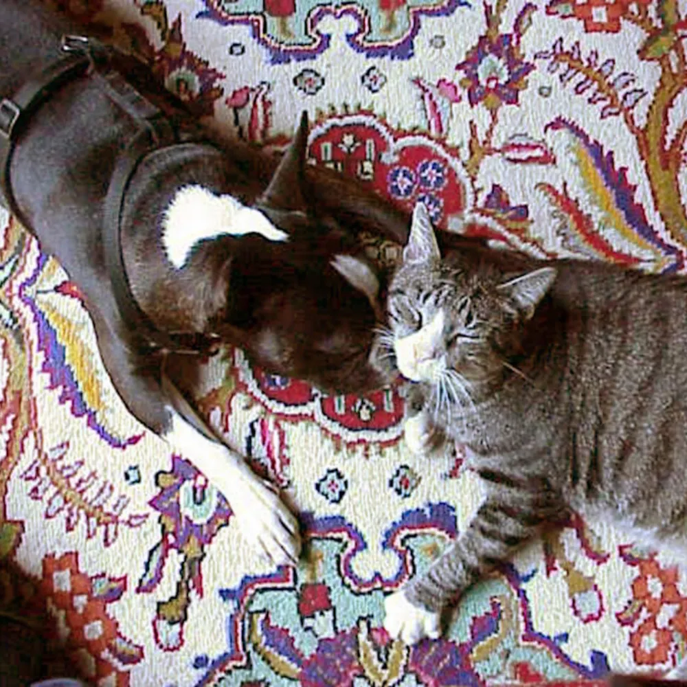 kathleenn.bsky.social's profile picture