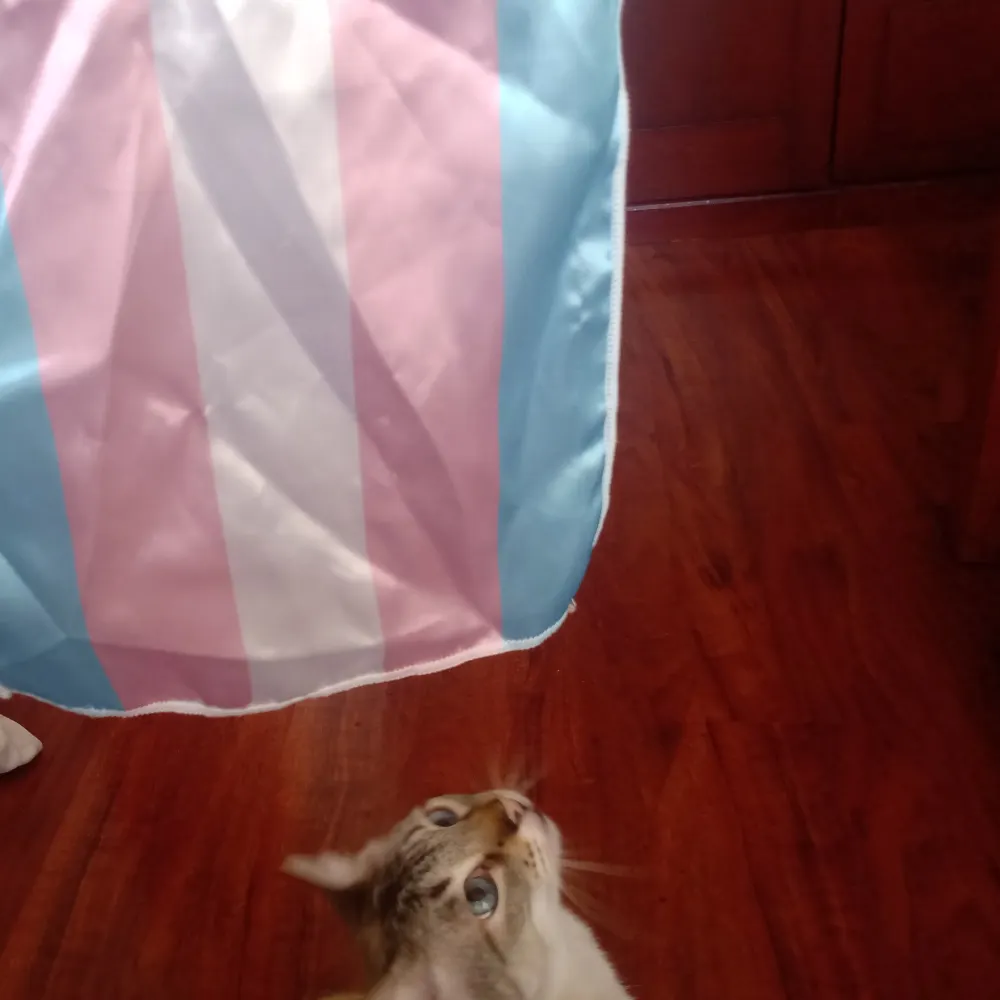 canclicus.bsky.social's profile picture