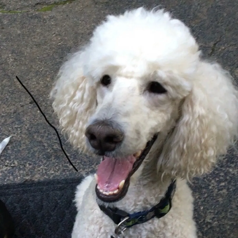 resisterjim.bsky.social's profile picture