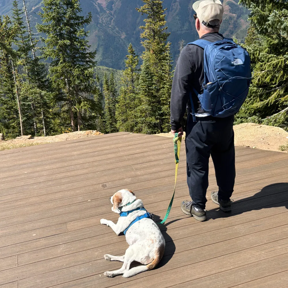 jamespmanley.bsky.social's profile picture