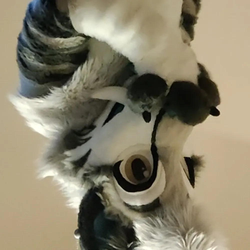 tiberiuswhite.bsky.social's profile picture