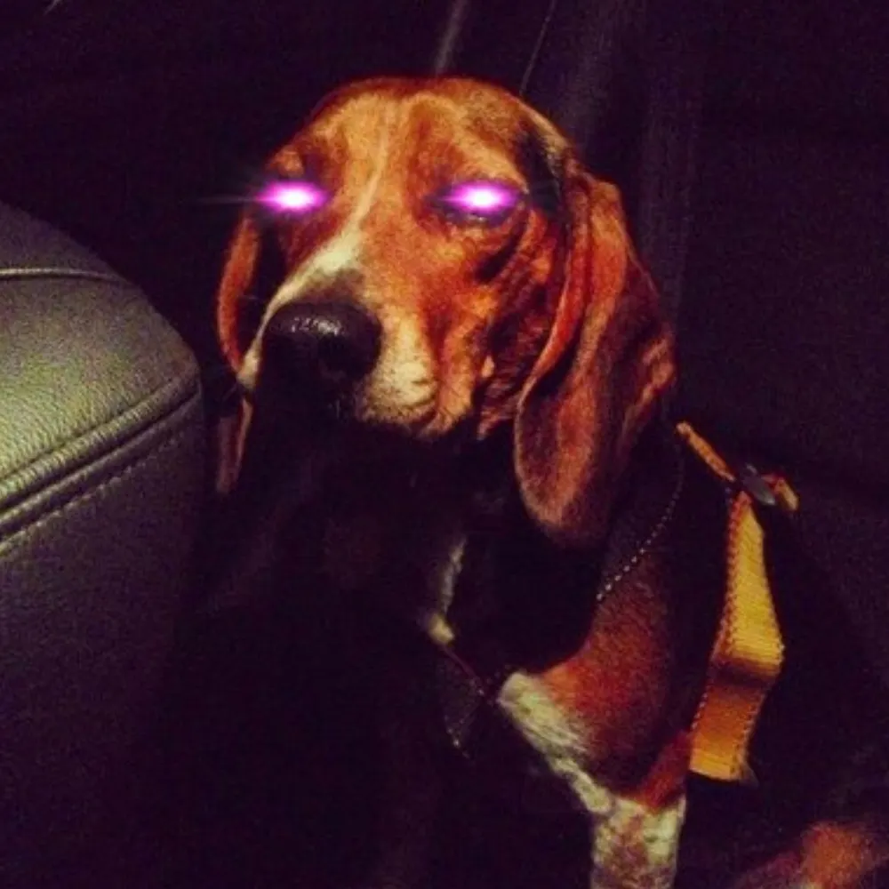 pixelsand8.bsky.social's profile picture