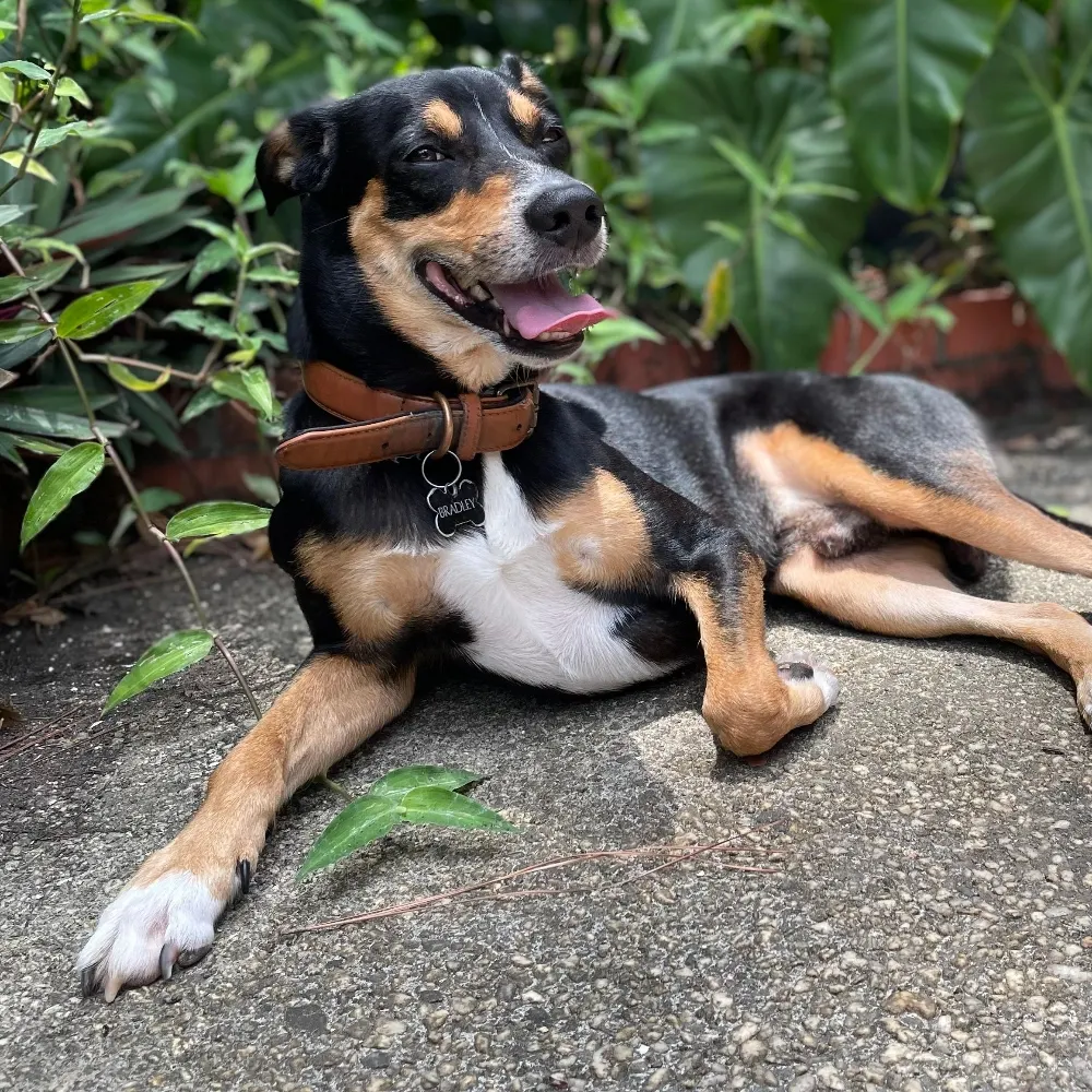 trinvin.bsky.social's profile picture