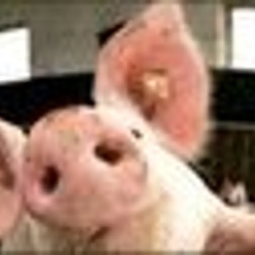 kevin-on-earth.bsky.social's profile picture