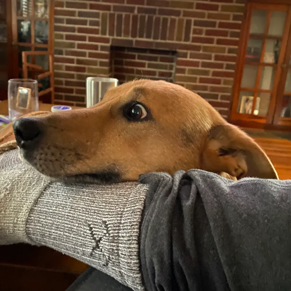 bryyyyguy.bsky.social's profile picture