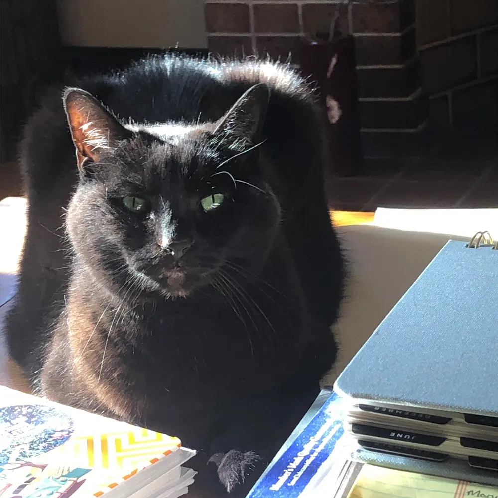 delovelly.bsky.social's profile picture