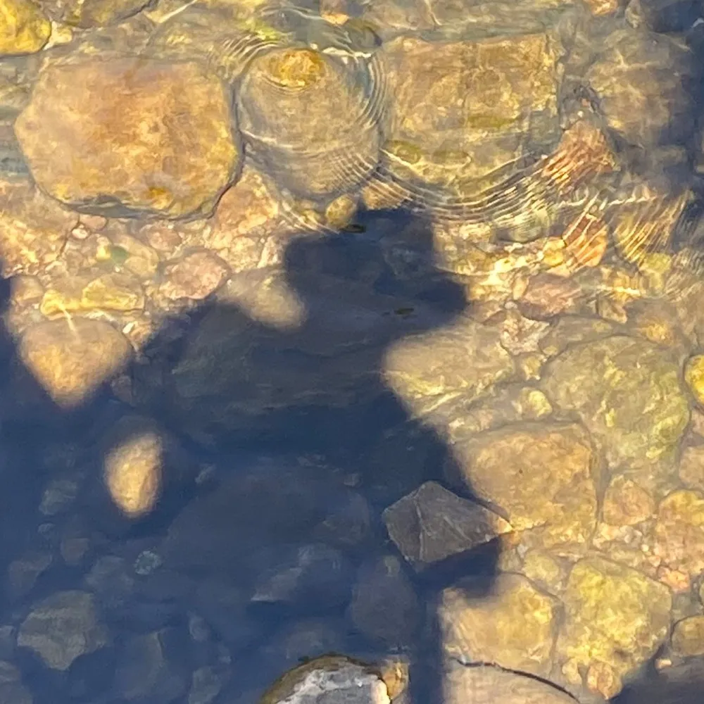 swashbucklr.bsky.social's profile picture