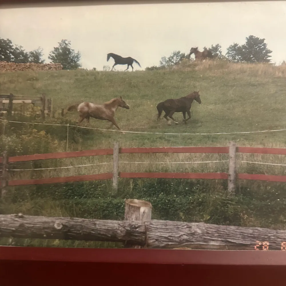 xrefugee23.bsky.social's profile picture