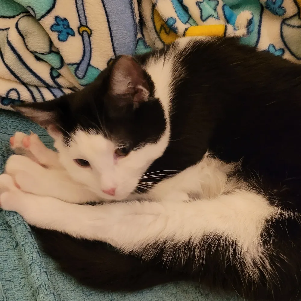 wrycke.bsky.social's profile picture