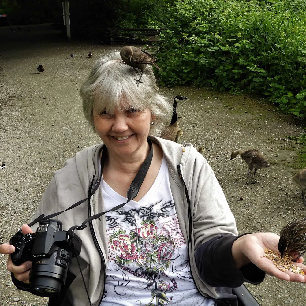 lorichirp.bsky.social's profile picture