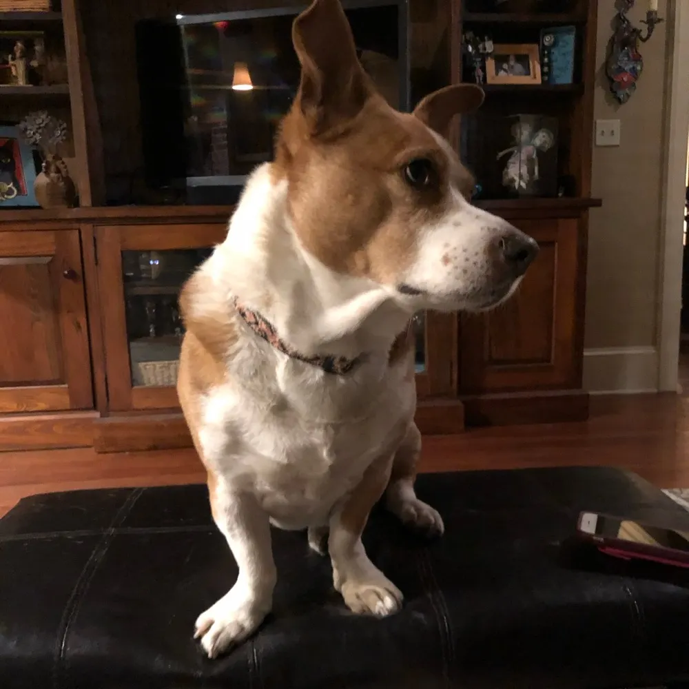 hammhawk.bsky.social's profile picture