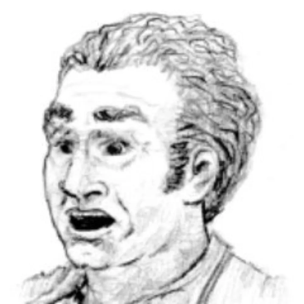 surprisedface.bsky.social's profile picture