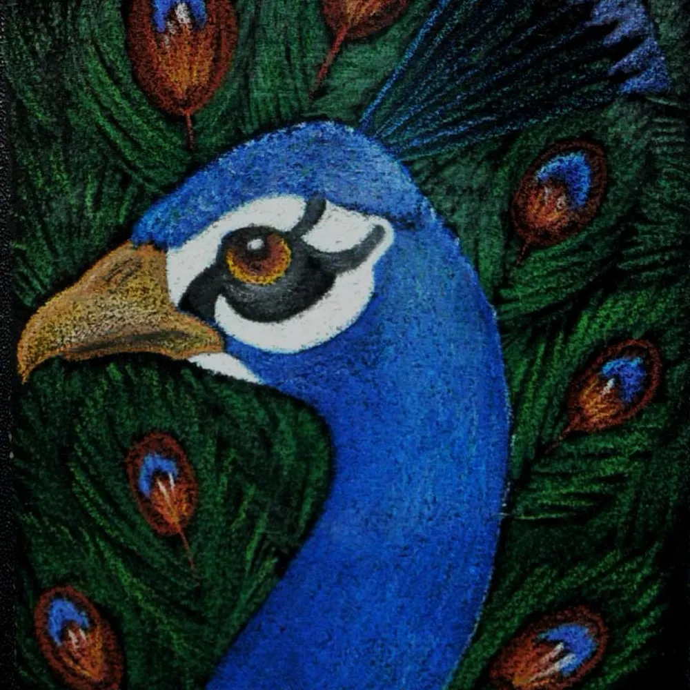 shazzoir.bsky.social's profile picture