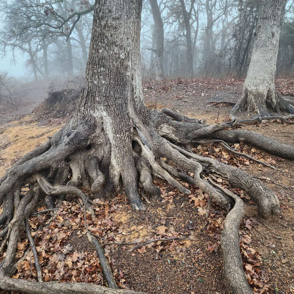 stewniverse.bsky.social's profile picture