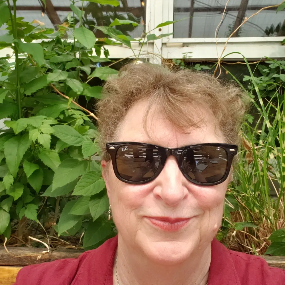 priscillamaloney.bsky.social's profile picture