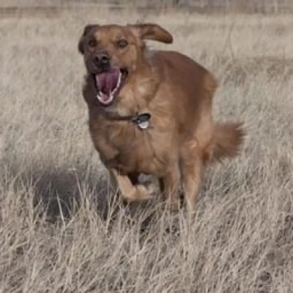 dax.pryce.io's profile picture