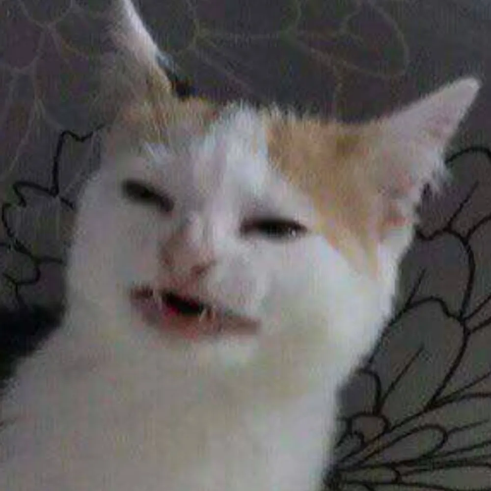 bero3000.bsky.social's profile picture