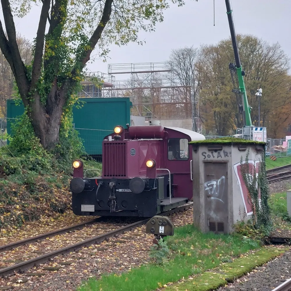 megafisk.bsky.social's profile picture