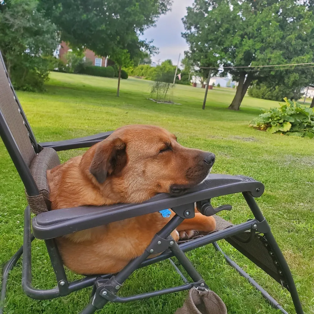 dalock.bsky.social's profile picture