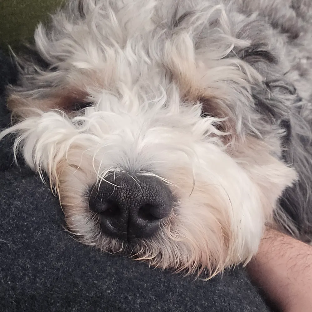 jaqacid.bsky.social's profile picture