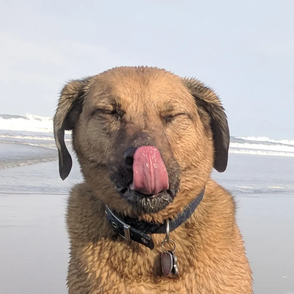 byobattleship.bsky.social's profile picture