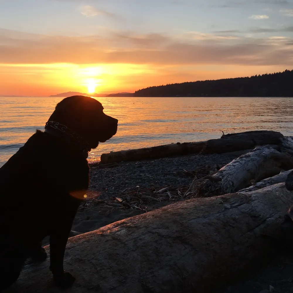 coastalgirlbc.bsky.social's profile picture