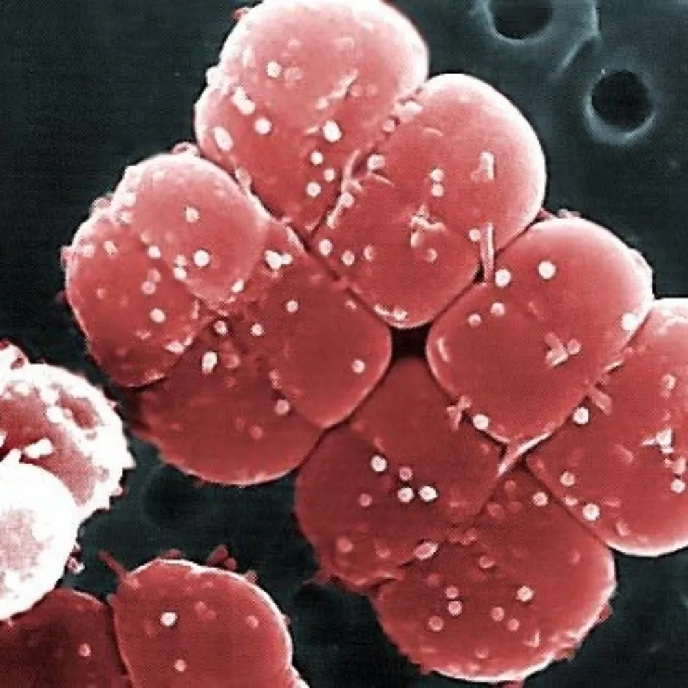 eazyent.com's profile picture