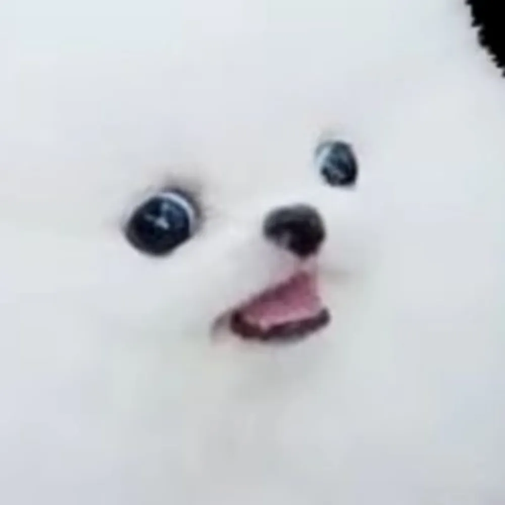 consultthebones.bsky.social's profile picture