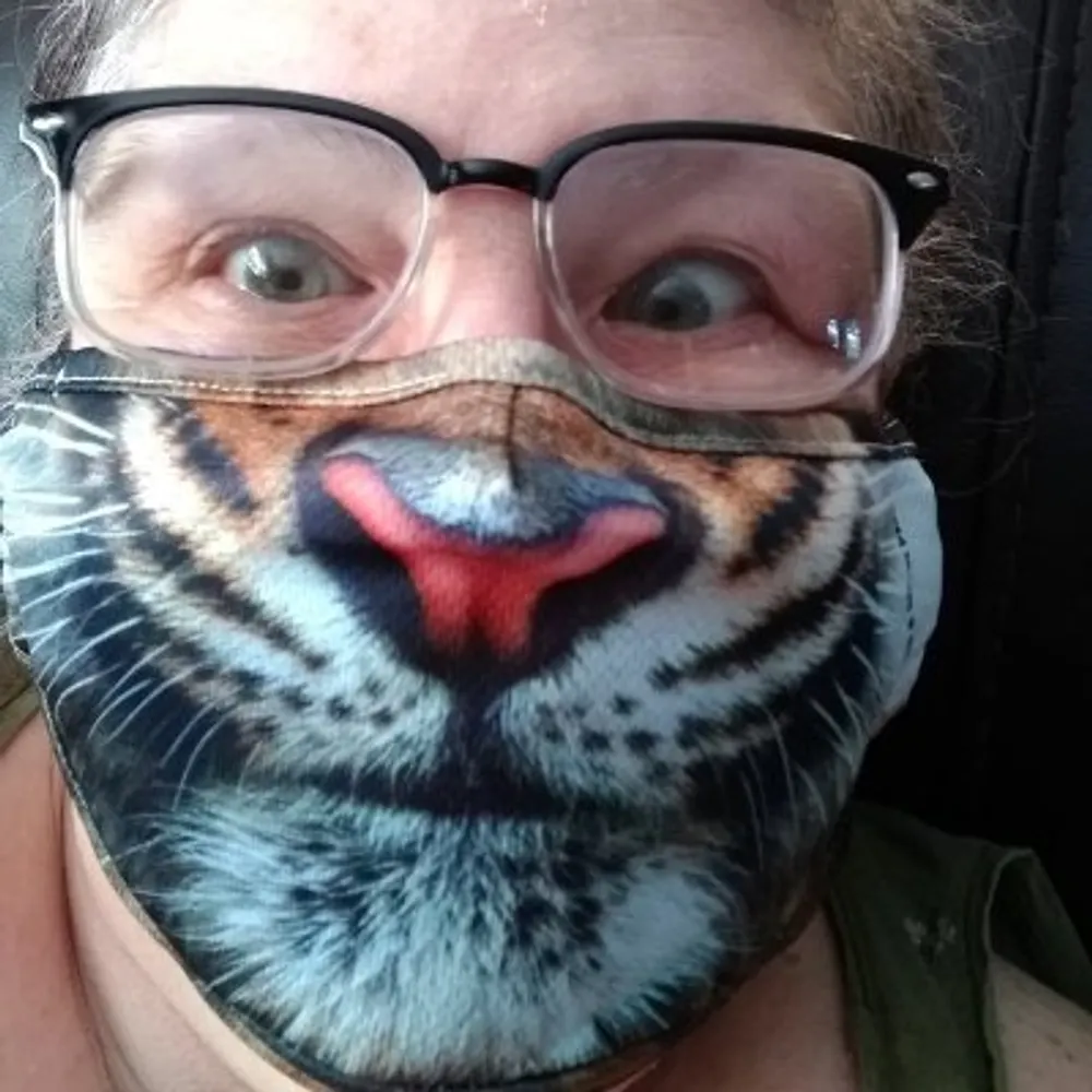 kkmbol.bsky.social's profile picture